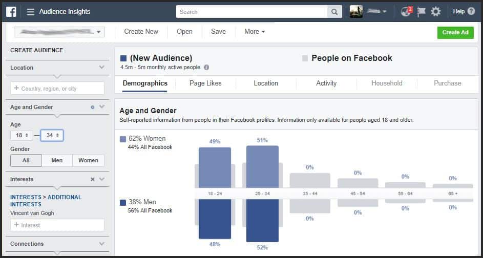 Vincent Van Gogh facebook target audience