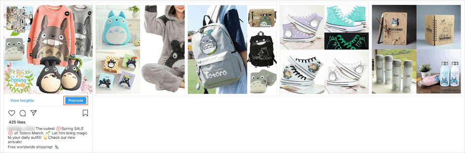 Instagram post for promotion