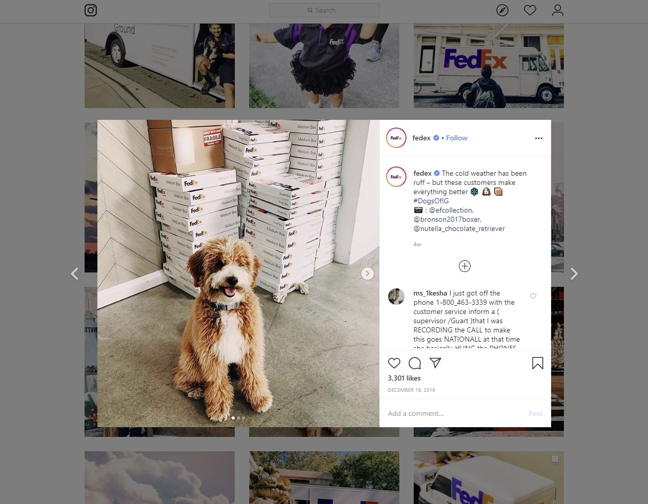 how to entertain followers