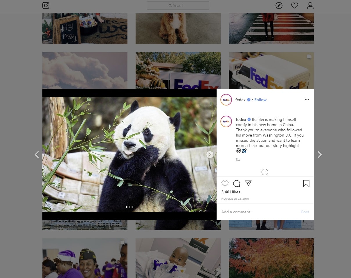 how to entertain followers