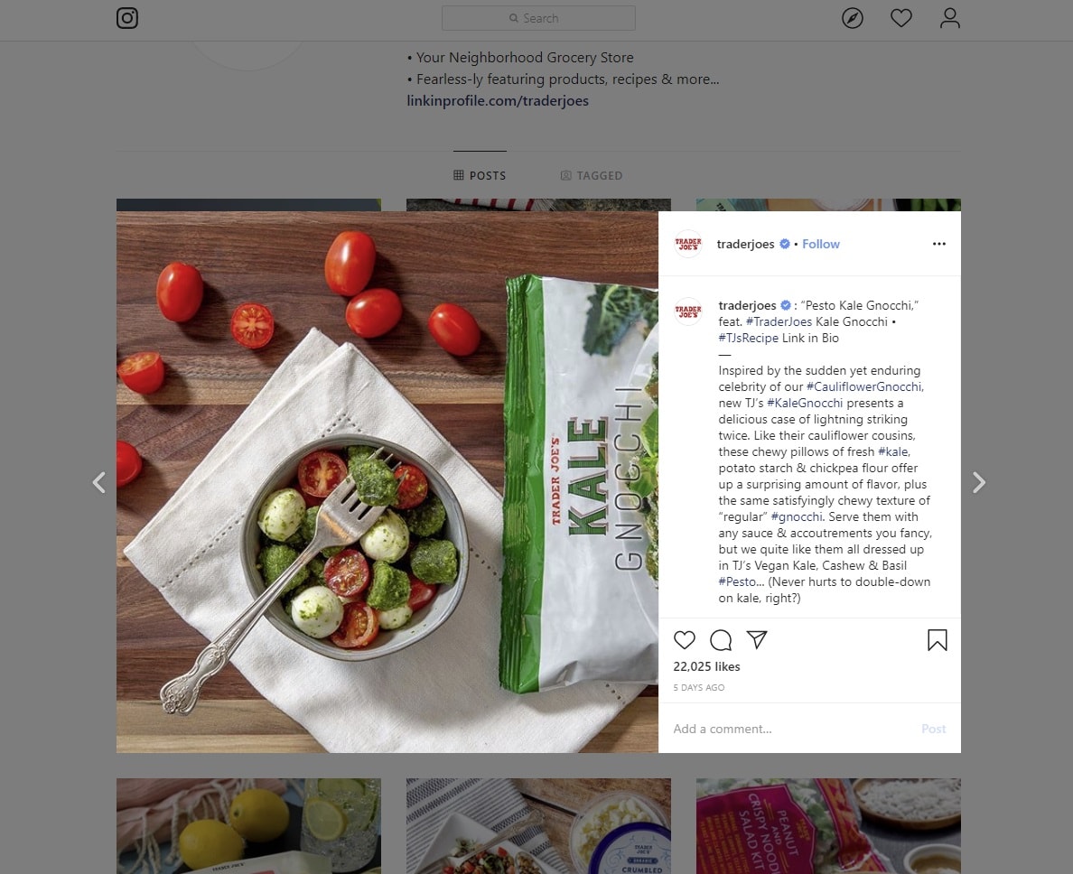 best instagram accounts to follow
