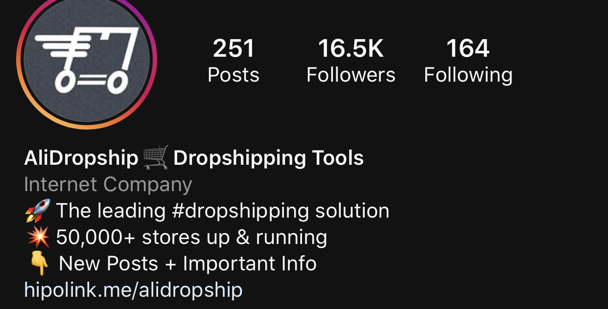 a picture showing an example of well-made Instagram bio