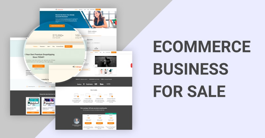 Looking for an ecommerce business for sale? Let&rsquo;s compare the options offered by AliDropship.