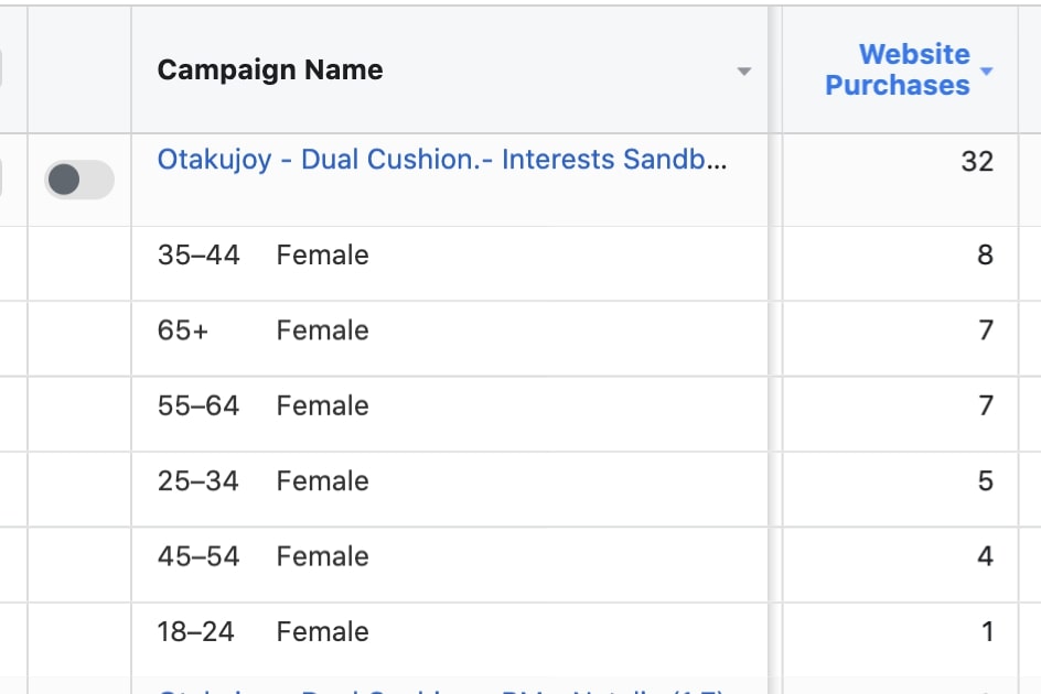 Target audience demographics analysis