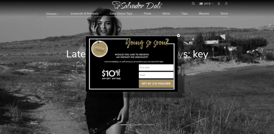 A screenshot of an exit-intent pop-up on a website