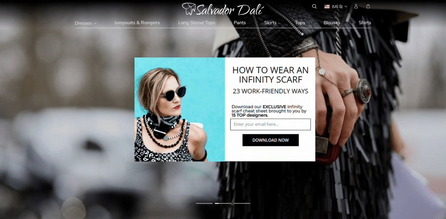 A screenshot showing an example of a lead magnet