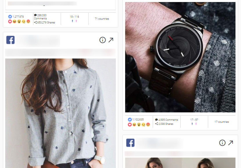 AdSpy search results - a tool for dropshipping product research