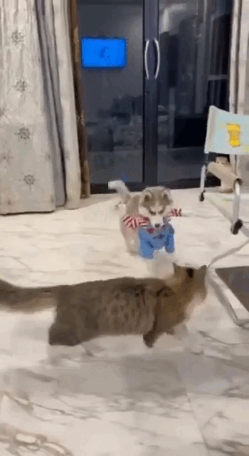 Light-hearted and humorous content is highly shareable