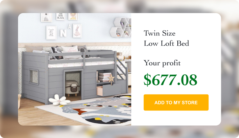 Twin Size Low Loft Bed